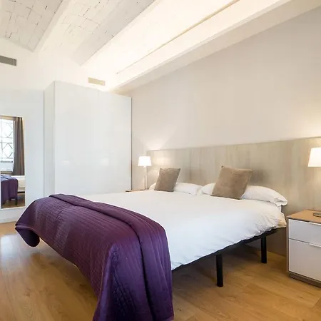 拉姆布拉加泰罗尼亚出租公寓 巴塞罗那