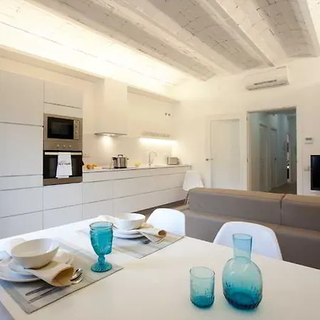 公寓 拉姆布拉加泰罗尼亚出租公寓 *